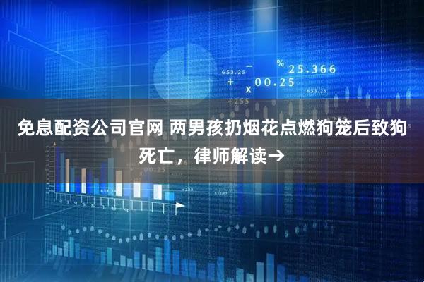 免息配资公司官网 两男孩扔烟花点燃狗笼后致狗死亡，律师解读→