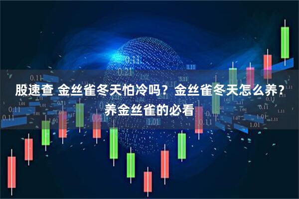 股速查 金丝雀冬天怕冷吗？金丝雀冬天怎么养？养金丝雀的必看
